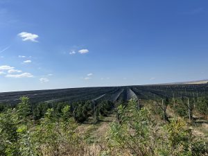 Стартира разследване след необичайна смърт на бебе в Хефей