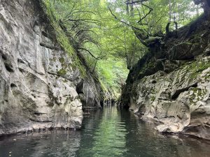 Китай отбелязва значително увеличение на 5-годишната преживяемост при педиатрични и юношески ракови заболявания