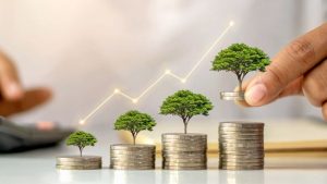 Парадът на лъвовете предизвика дебат в зоопарка в Анхуей