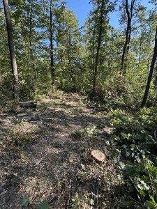 От Големия взрив до настоящето: Суперкомпютър изгражда най-голямата симулация на Вселената