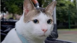 Експерти: Технологията ще играе положителна роля в света на изкуството