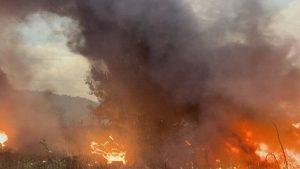Извънреден мониторинг на въздуха в с. Николово след пожар край населеното място