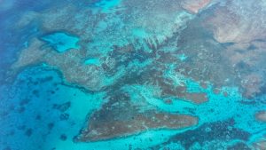 Китай ще наложи мита върху някои млечни продукти от ЕС