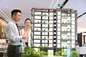 Културната одисея на Global Gen Z на фестивала на божурите в Луоянг