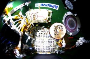 Китай бележи важен крайъгълен камък в “космическото земеделие”