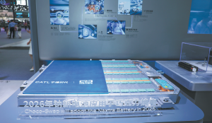 Натриевите йони, рекламирани като енергиен вариант