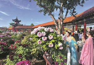 Венчелистчетата на форума засилват дипломацията